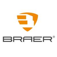 Облицовочный кирпич BRAER