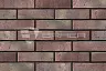Кирпич лицевой 1 НФ BRAER PRO 13.13 купить в "Строй-Ресурсе"