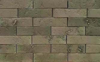 Кирпич облицовочный (промо) BRAER PRO T 7.03, 1,0НФ купить в "Строй-Ресурсе"