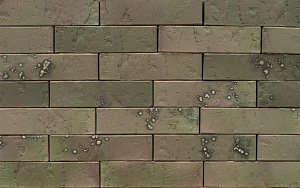 Кирпич облицовочный (промо) BRAER PRO T 7.03, 1,0НФ фотография